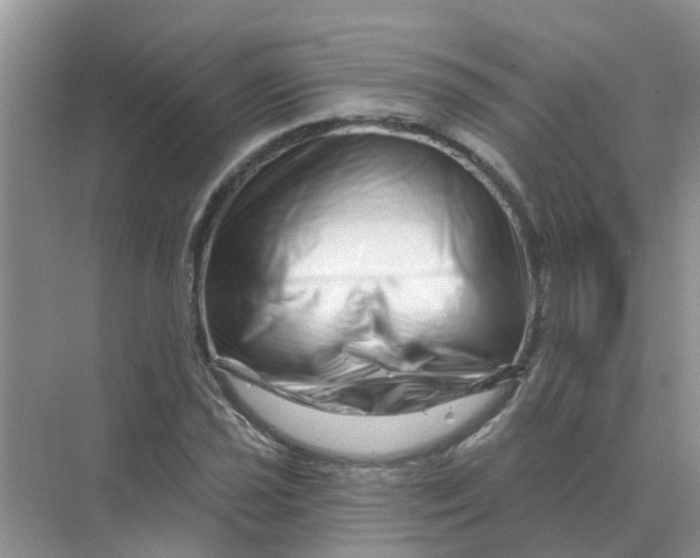 X0000070181021200606162116