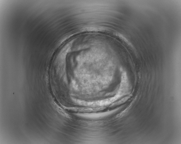 X0000070181025200606162116