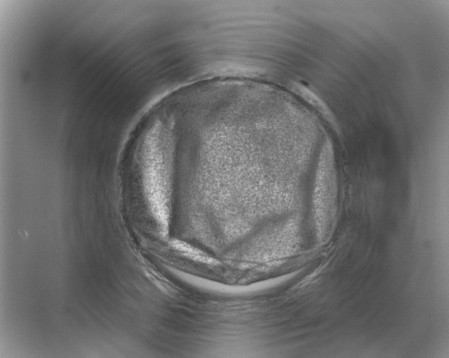 X0000070181027200606162116