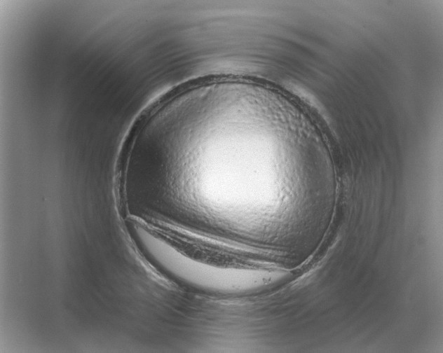 X0000070181029200606162116