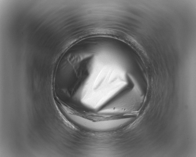 X0000070181033200606162116