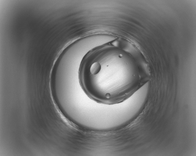 X0000070181034200606162116