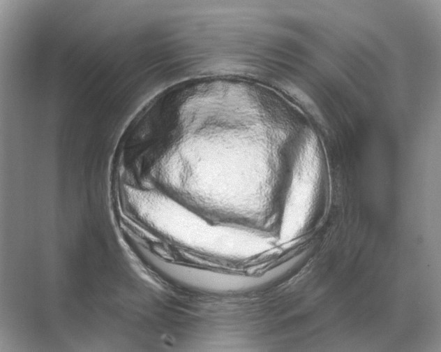 X0000070181039200606162117