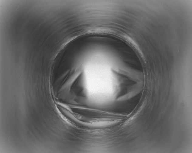 X0000070181041200606162117