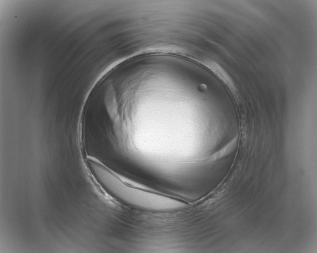 X0000070181044200606162117