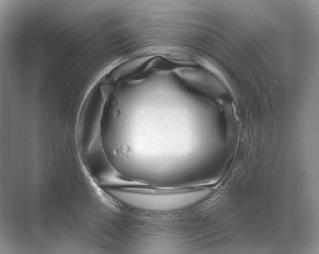 X0000070181050200606162117