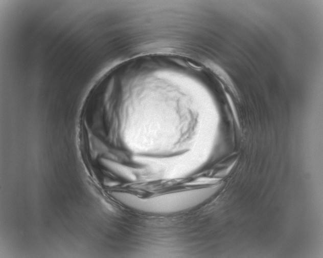 X0000070181051200606162117