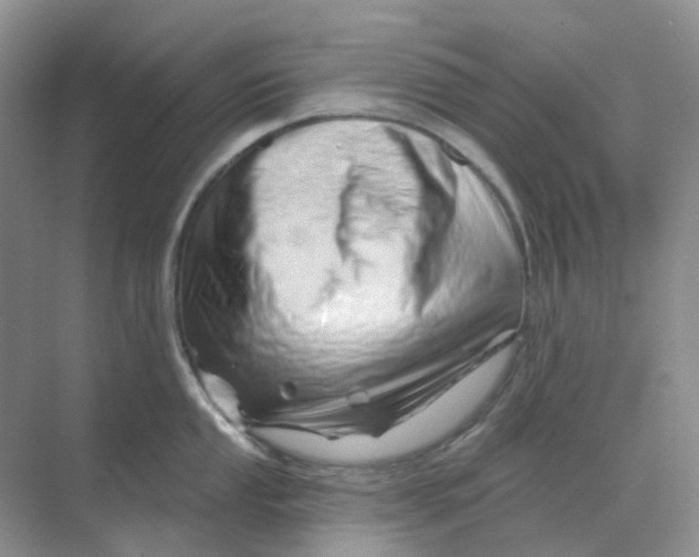 X0000070181053200606162117