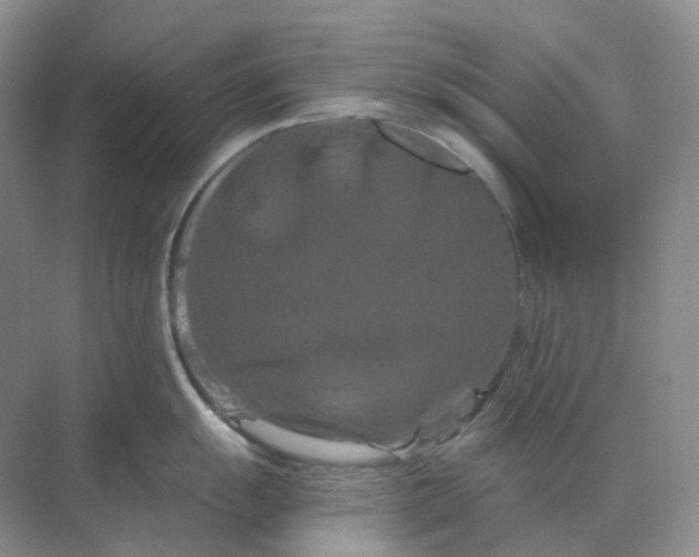 X0000070181055200606162117