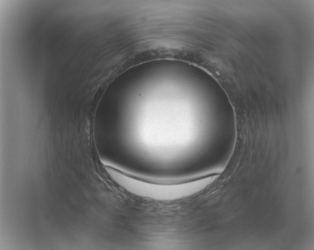 X0000070181061200606162116