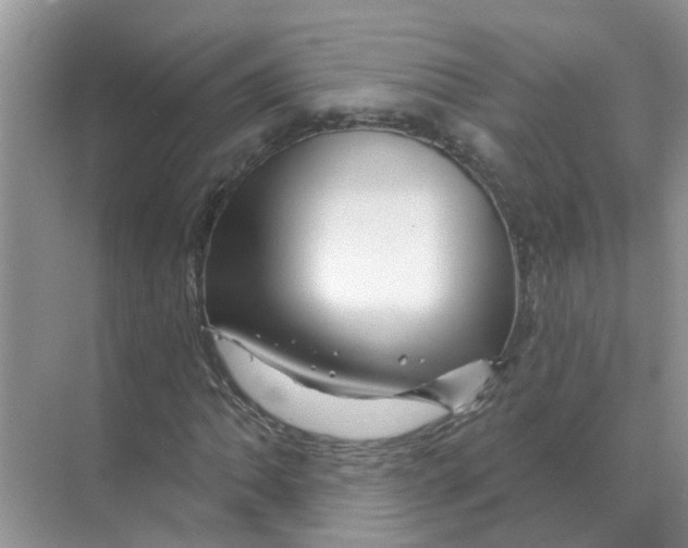 X0000070181062200606162116