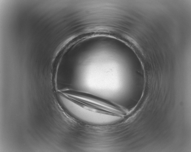 X0000070181066200606162116