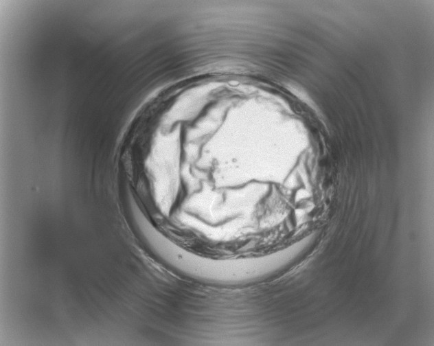 X0000070181067200606162116
