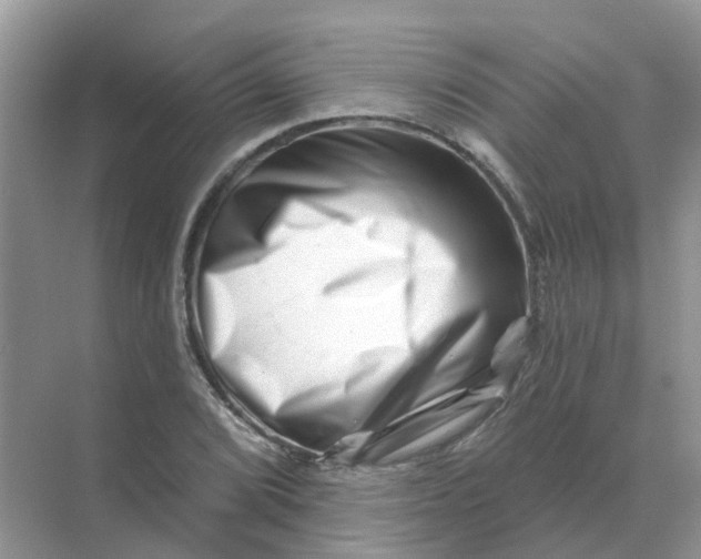 X0000070181072200606162116