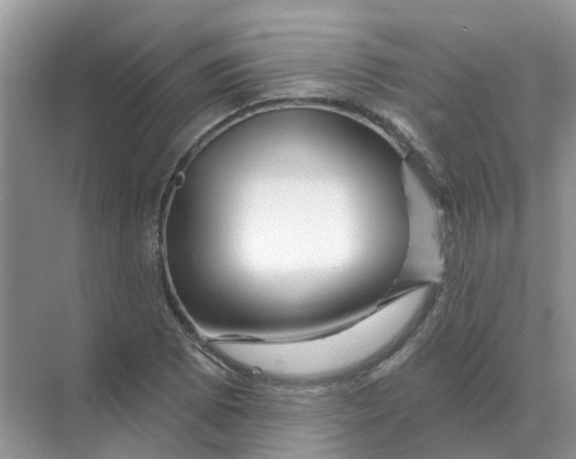 X0000070181073200606162116