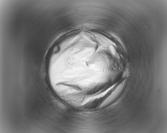 X0000070181075200606162116