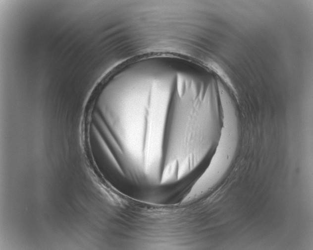 X0000070181076200606162116