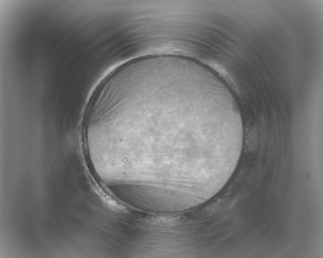 X0000070181086200606162116