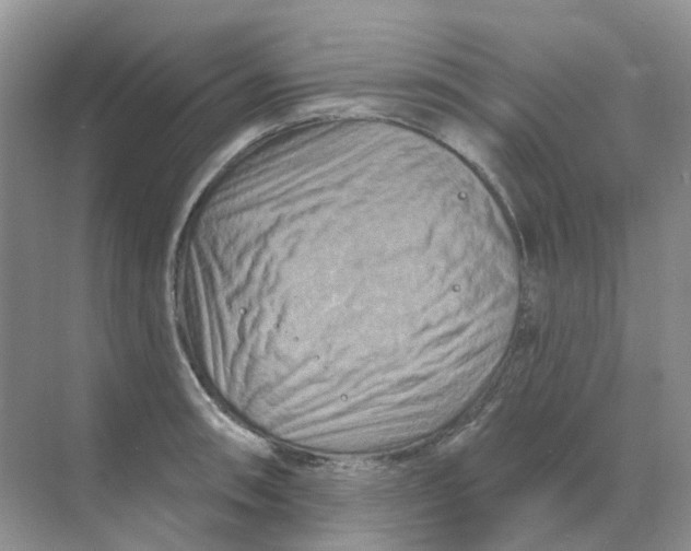 X0000070181090200606162116
