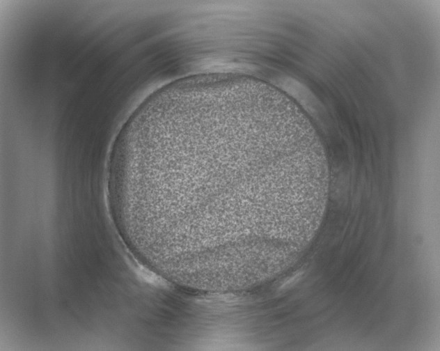 X0000070181094200606162115