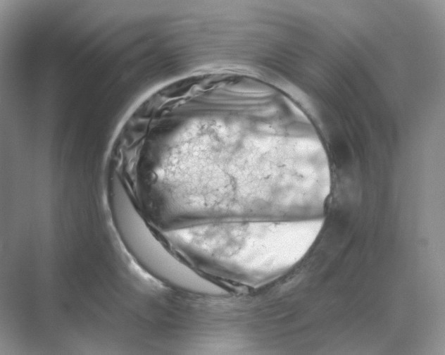 X0000070181102200606162115