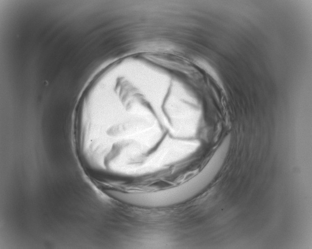 X0000070181103200606162115
