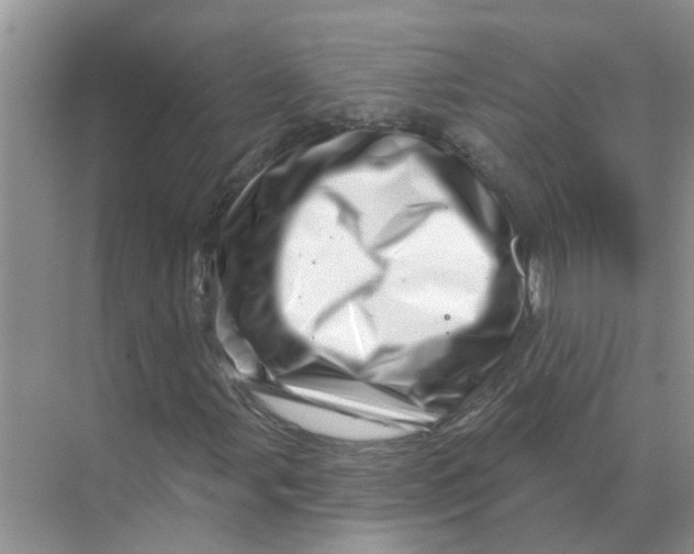 X0000070181107200606162114