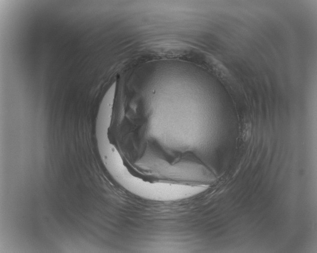 X0000070181108200606162115