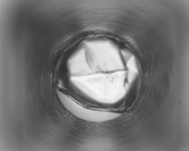 X0000070181111200606162115