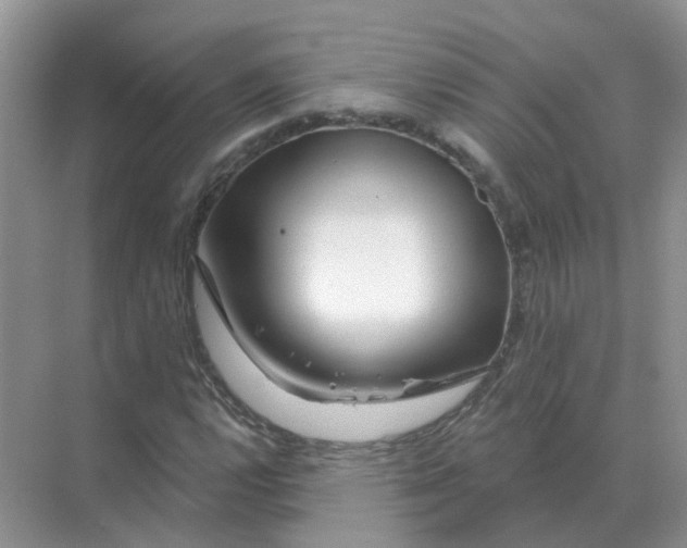X0000070181112200606162115