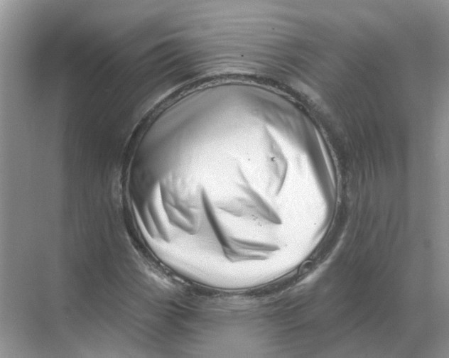 X0000070181113200606162115