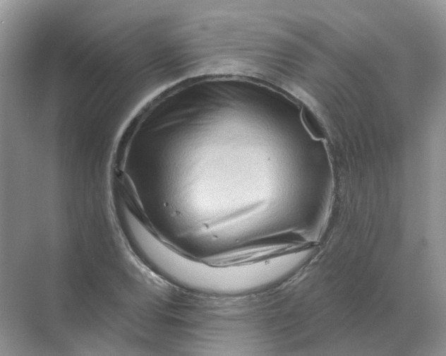 X0000070181120200606162115