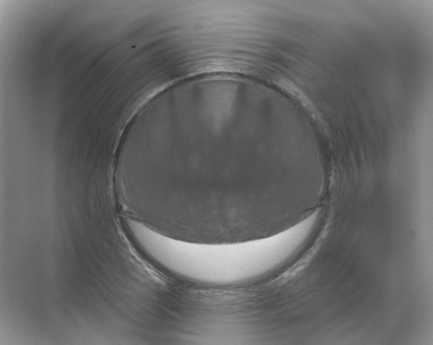 X0000070181121200606162115