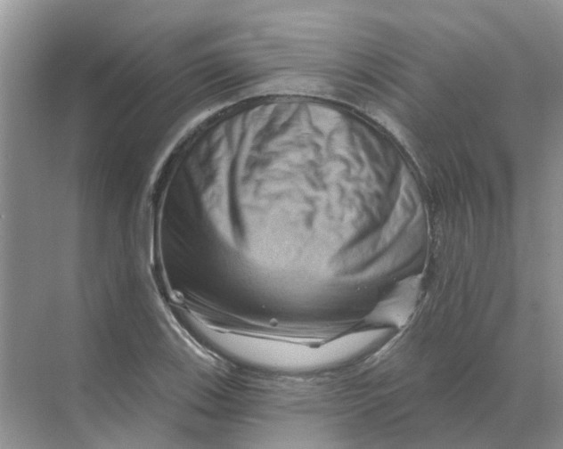 X0000070181123200606162115