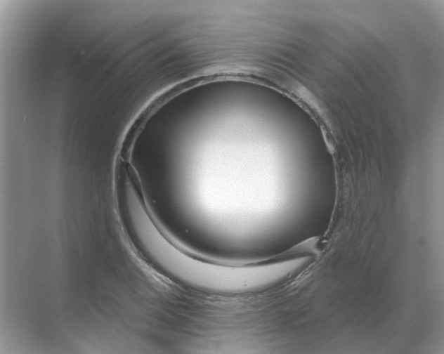 X0000070181124200606162115