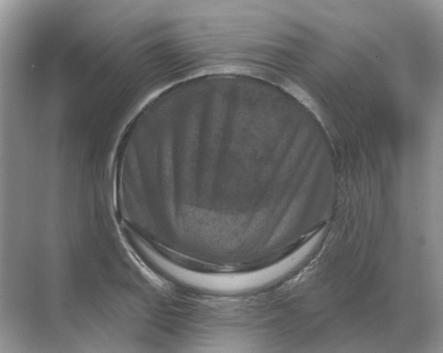 X0000070181127200606162115
