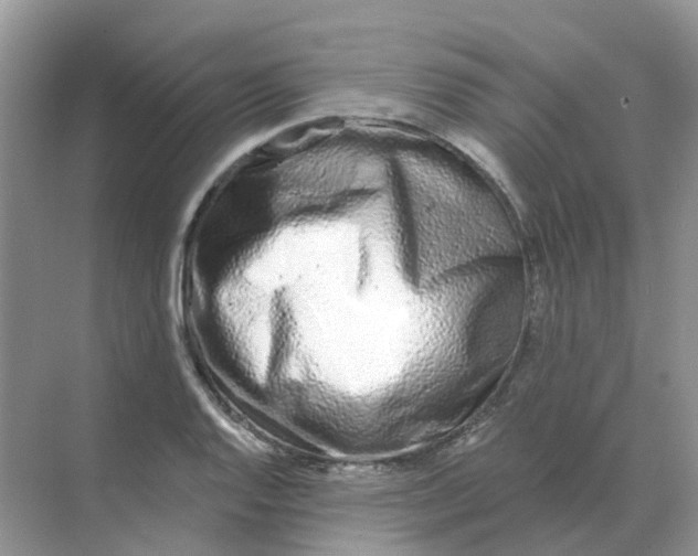 X0000070181128200606162115
