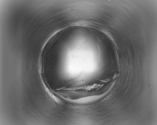 X0000070181131200606162115