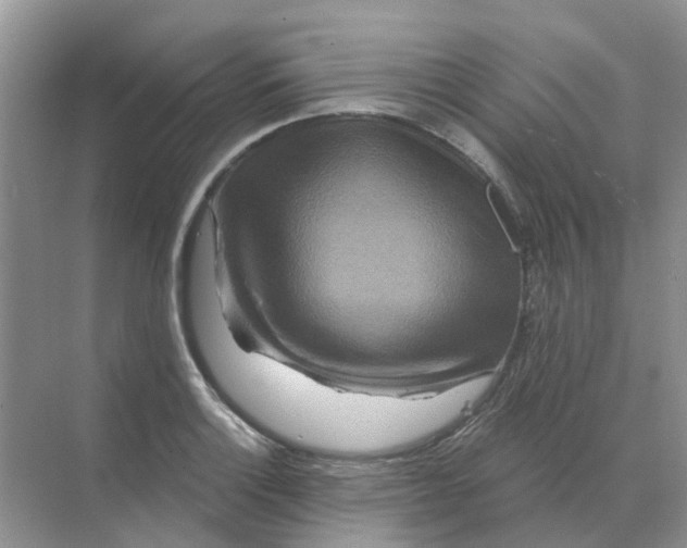 X0000070181132200606162115