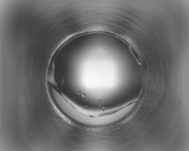 X0000070181134200606162115