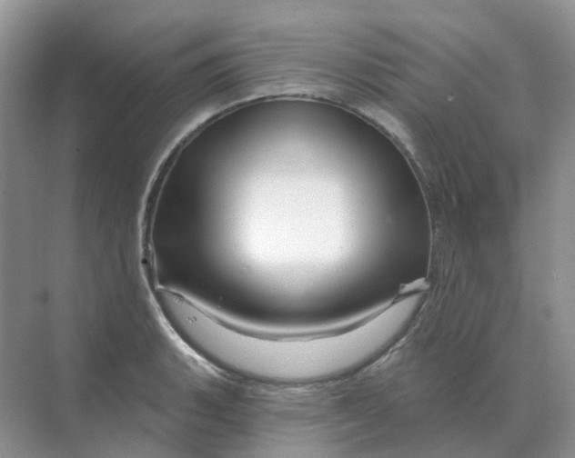 X0000070181135200606162115