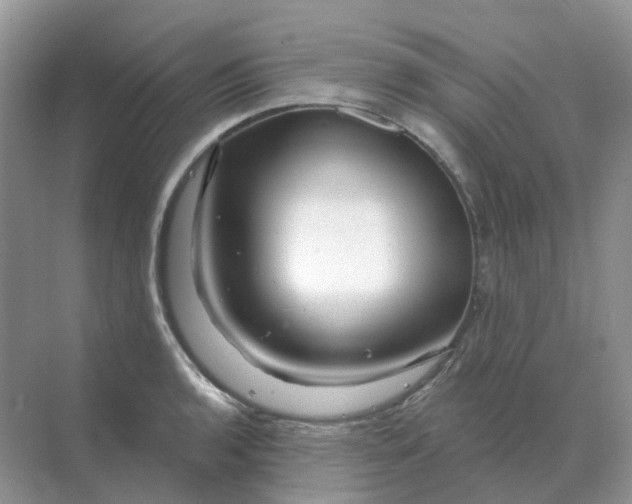 X0000070181136200606162115