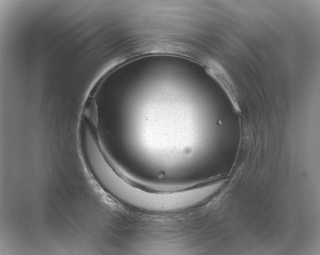 X0000070181138200606162115