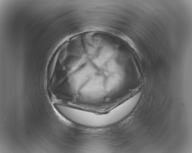 X0000070181143200606162115