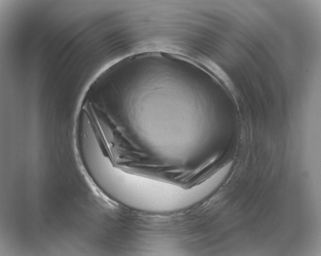 X0000070181144200606162115