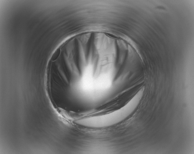 X0000070181147200606162115