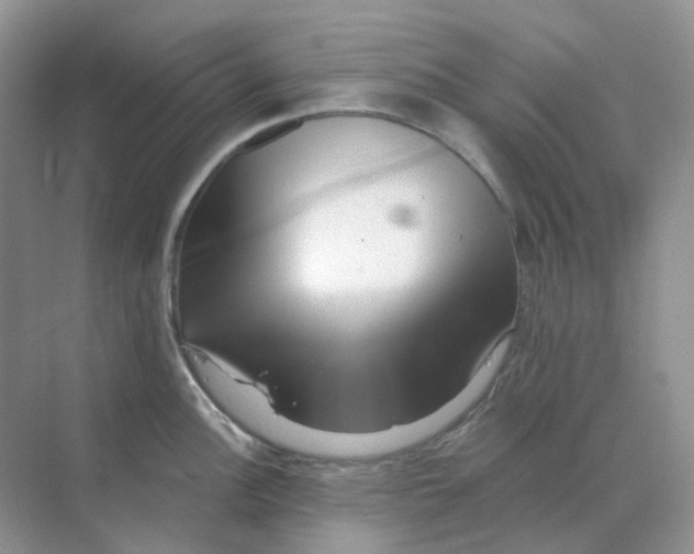X0000070181148200606162115