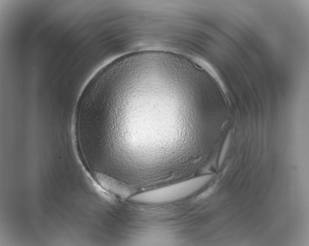X0000070181149200606162115