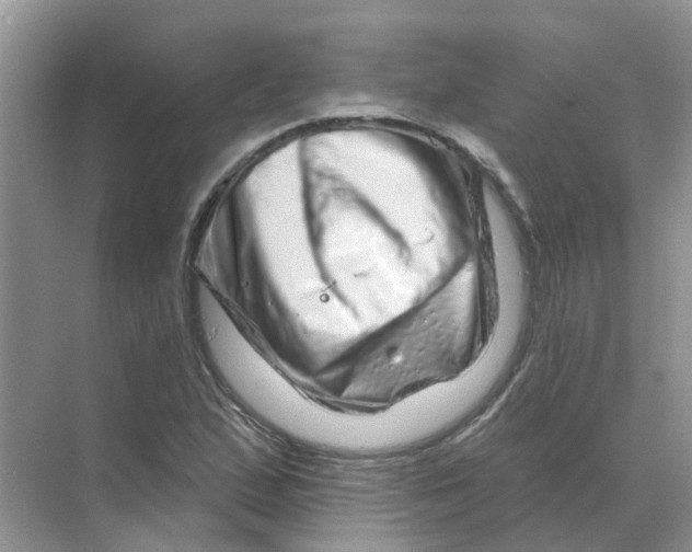 X0000070181167200606162114
