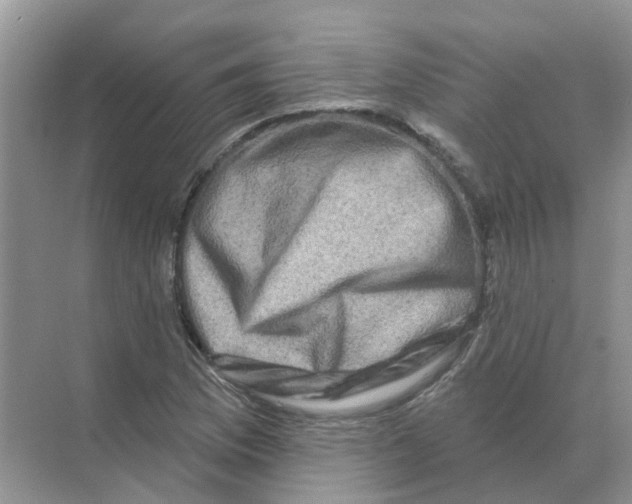 X0000070181169200606162114